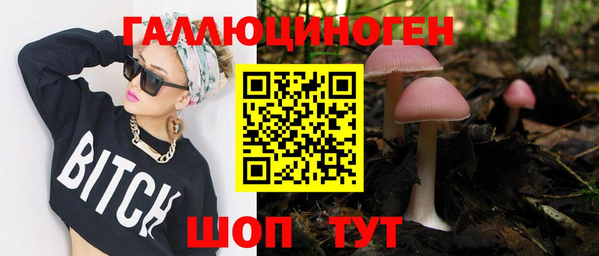 Хабаровск  Галлюциногенные грибы мицелий  Вход с VPN 